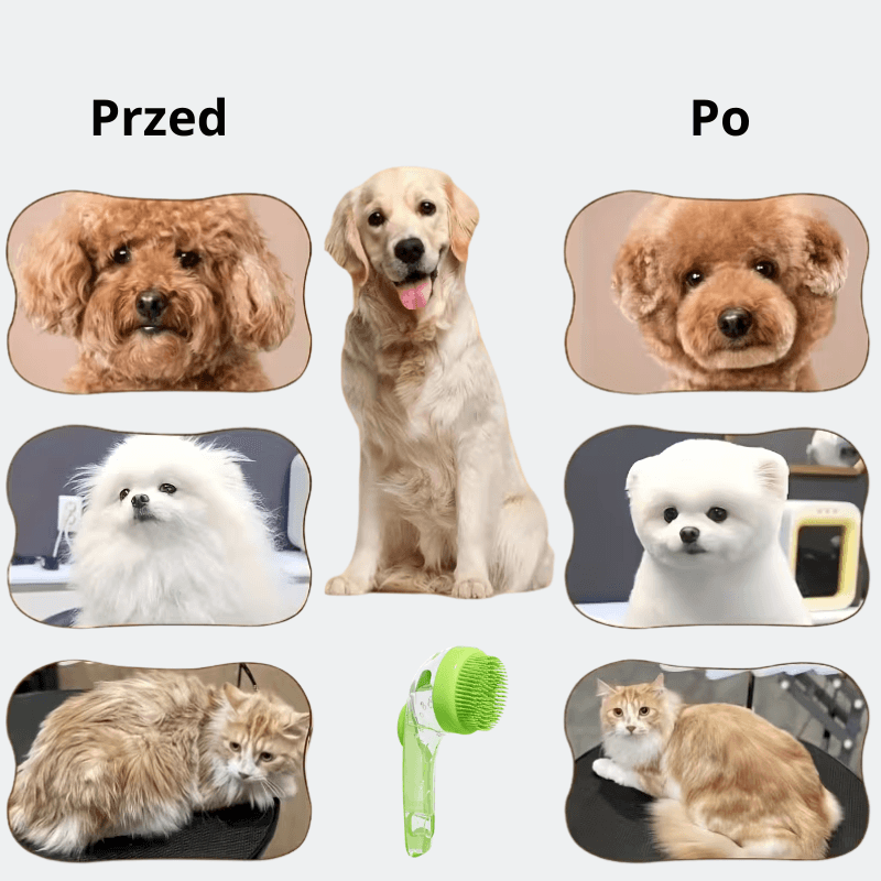 PetGlow - Szczotka do kąpieli zwierząt z dozownikiem szamponu